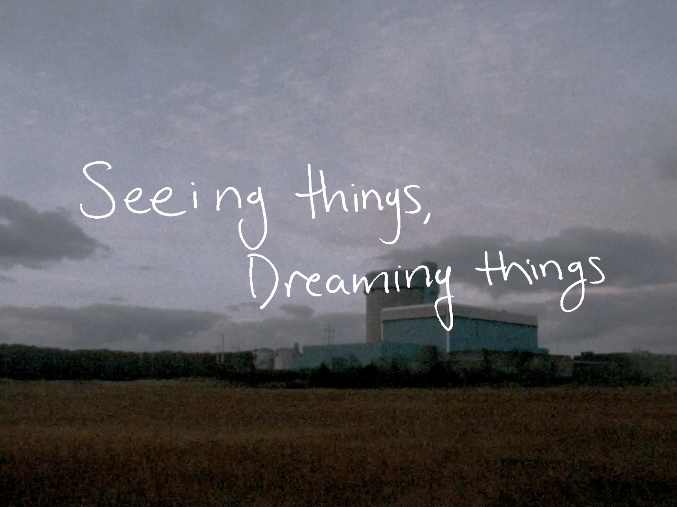 Seeing Things